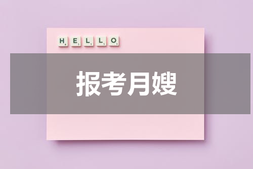 报考月嫂