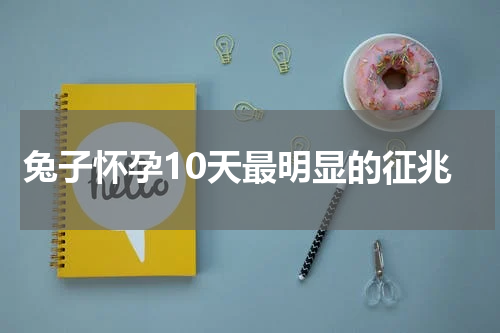 兔子怀孕10天最明显的征兆