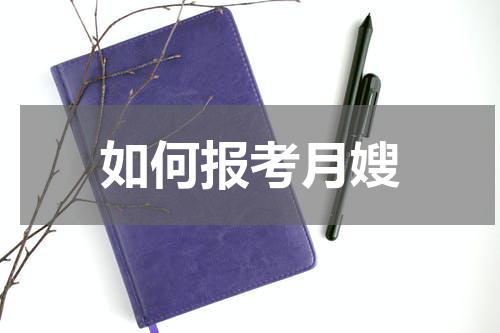 如何报考月嫂