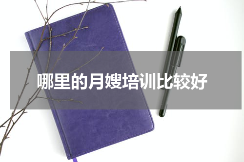 哪里的月嫂培训比较好
