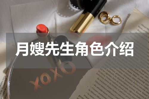 月嫂先生角色介绍