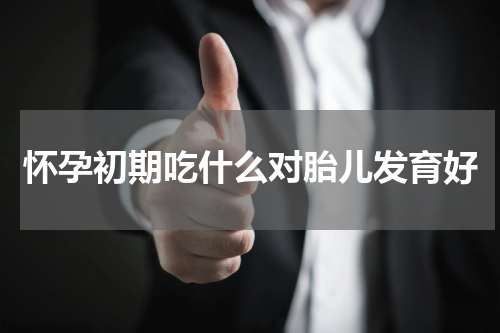怀孕初期吃什么对胎儿发育好