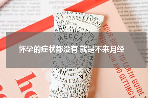 怀孕的症状都没有 就是不来月经