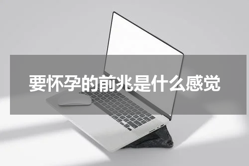 要怀孕的前兆是什么感觉