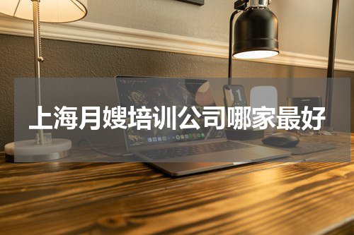 上海月嫂培训公司哪家最好
