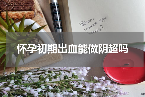 怀孕初期出血能做阴超吗