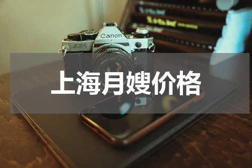 上海月嫂价格