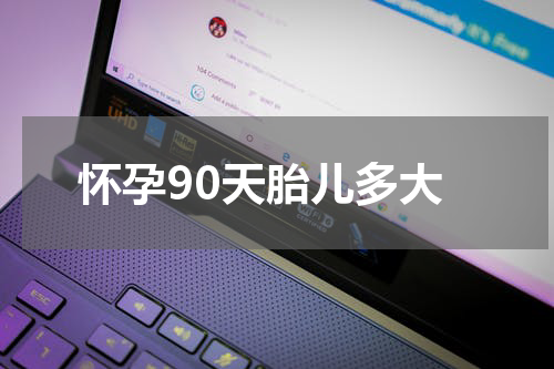 怀孕90天胎儿多大