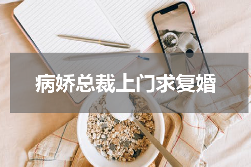 病娇总裁上门求复婚