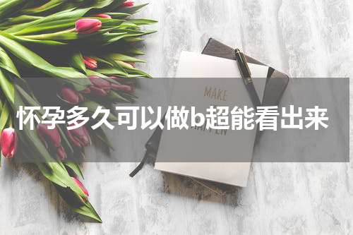 怀孕多久可以做b超能看出来