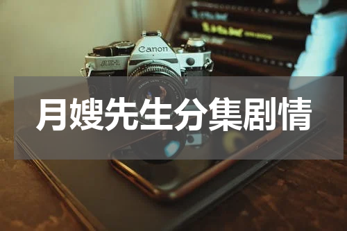 月嫂先生分集剧情