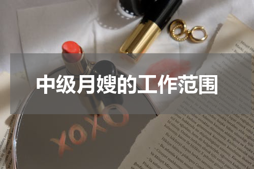 中级月嫂的工作范围