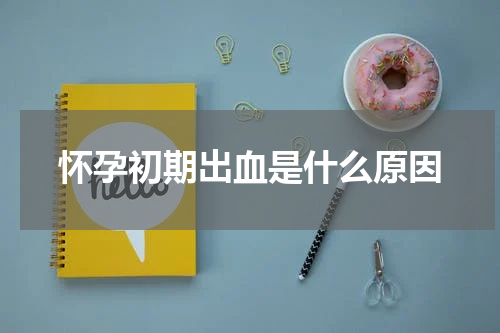 怀孕初期出血是什么原因