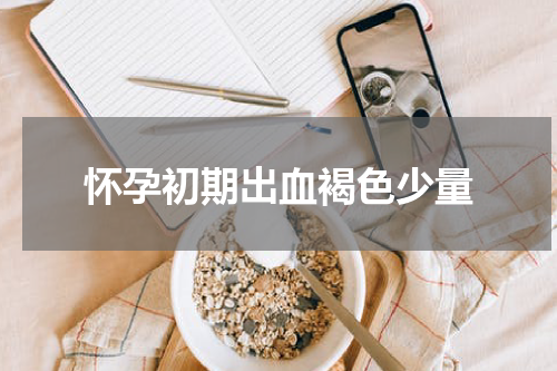 怀孕初期出血褐色少量