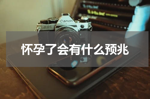 怀孕了会有什么预兆