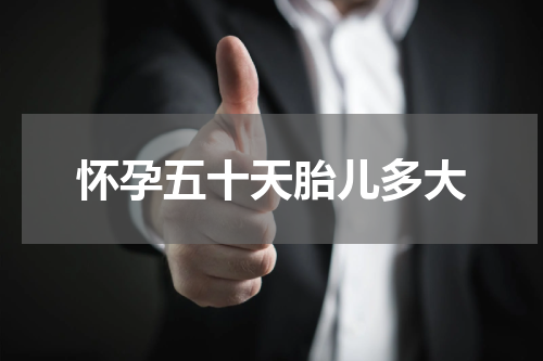 怀孕五十天胎儿多大