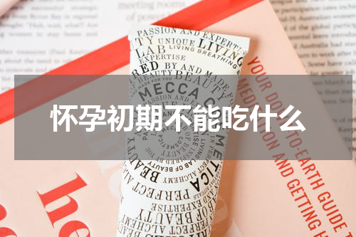 怀孕初期不能吃什么