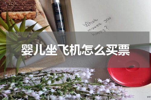 婴儿坐飞机怎么买票