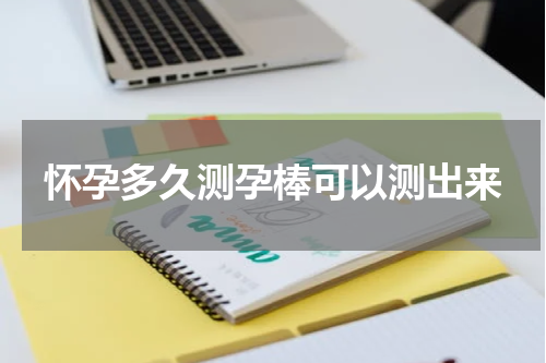 怀孕多久测孕棒可以测出来
