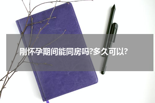 刚怀孕期间能同房吗?多久可以?