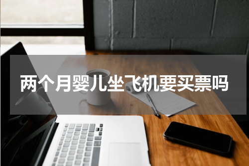 两个月婴儿坐飞机要买票吗