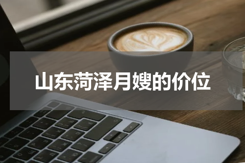 山东菏泽月嫂的价位