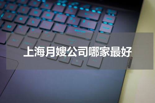 上海月嫂公司哪家最好