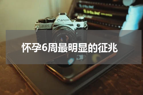 怀孕6周最明显的征兆