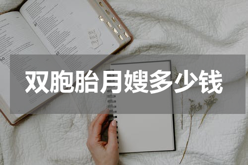 双胞胎月嫂多少钱