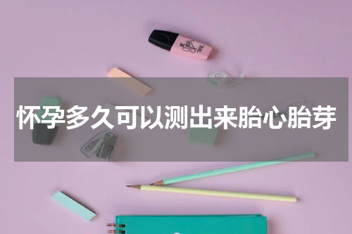 怀孕多久可以测出来胎心胎芽