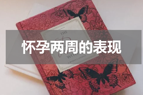 怀孕两周的表现