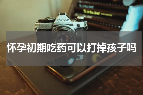 怀孕初期吃药可以打掉孩子吗