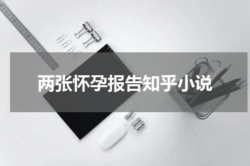 两张怀孕报告知乎小说