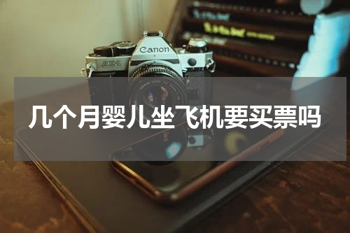 几个月婴儿坐飞机要买票吗