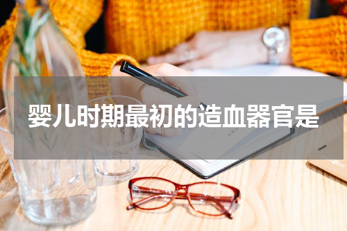 婴儿时期最初的造血器官是