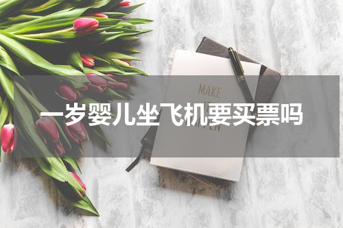一岁婴儿坐飞机要买票吗