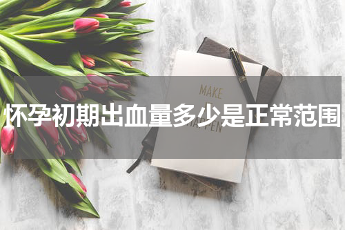 怀孕初期出血量多少是正常范围
