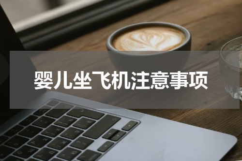 婴儿坐飞机注意事项