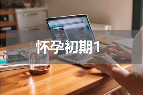 怀孕初期1