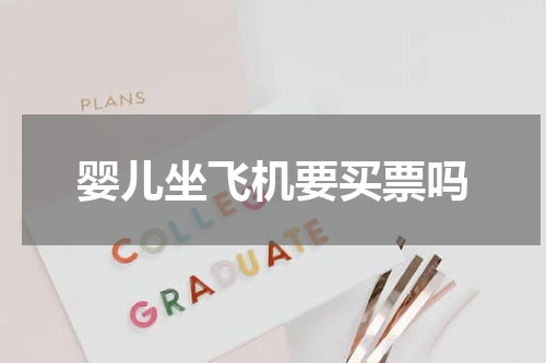 婴儿坐飞机要买票吗