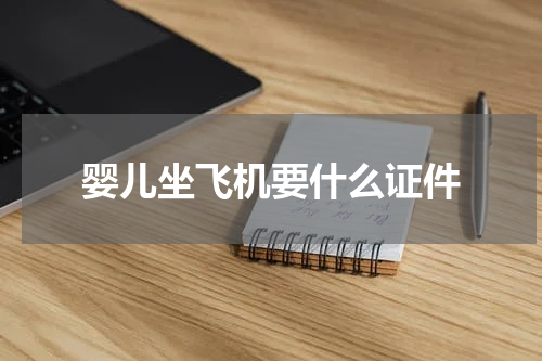 婴儿坐飞机要什么证件