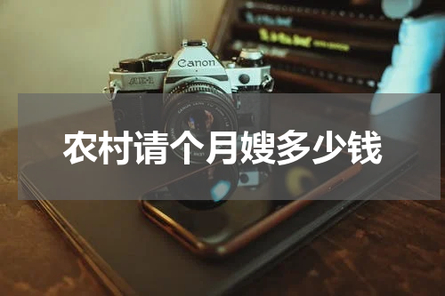 农村请个月嫂多少钱