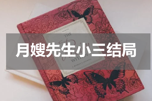 月嫂先生小三结局