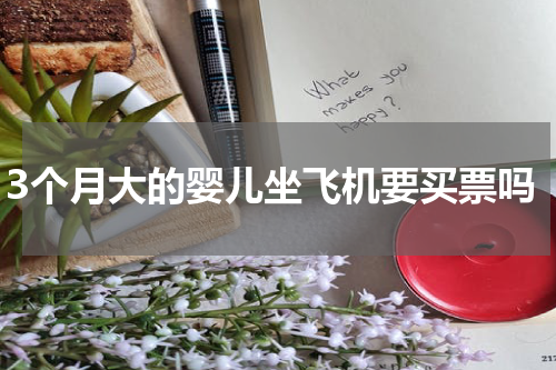 3个月大的婴儿坐飞机要买票吗