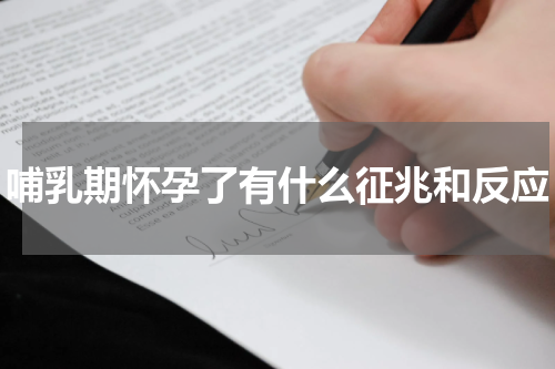 哺乳期怀孕了有什么征兆和反应