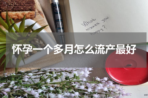 怀孕一个多月怎么流产最好