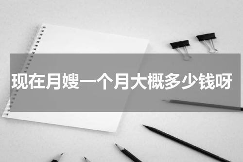 现在月嫂一个月大概多少钱呀