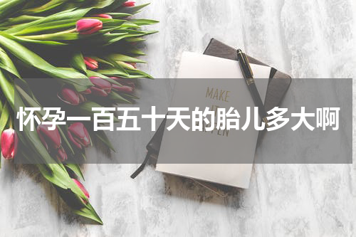 怀孕一百五十天的胎儿多大啊
