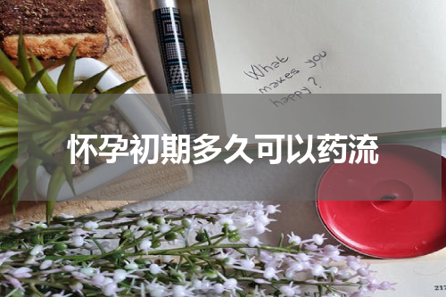 怀孕初期多久可以药流