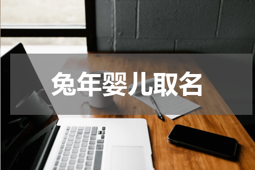 兔年婴儿取名